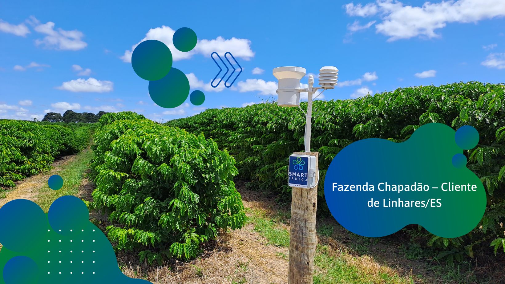 Fazenda Chapadao